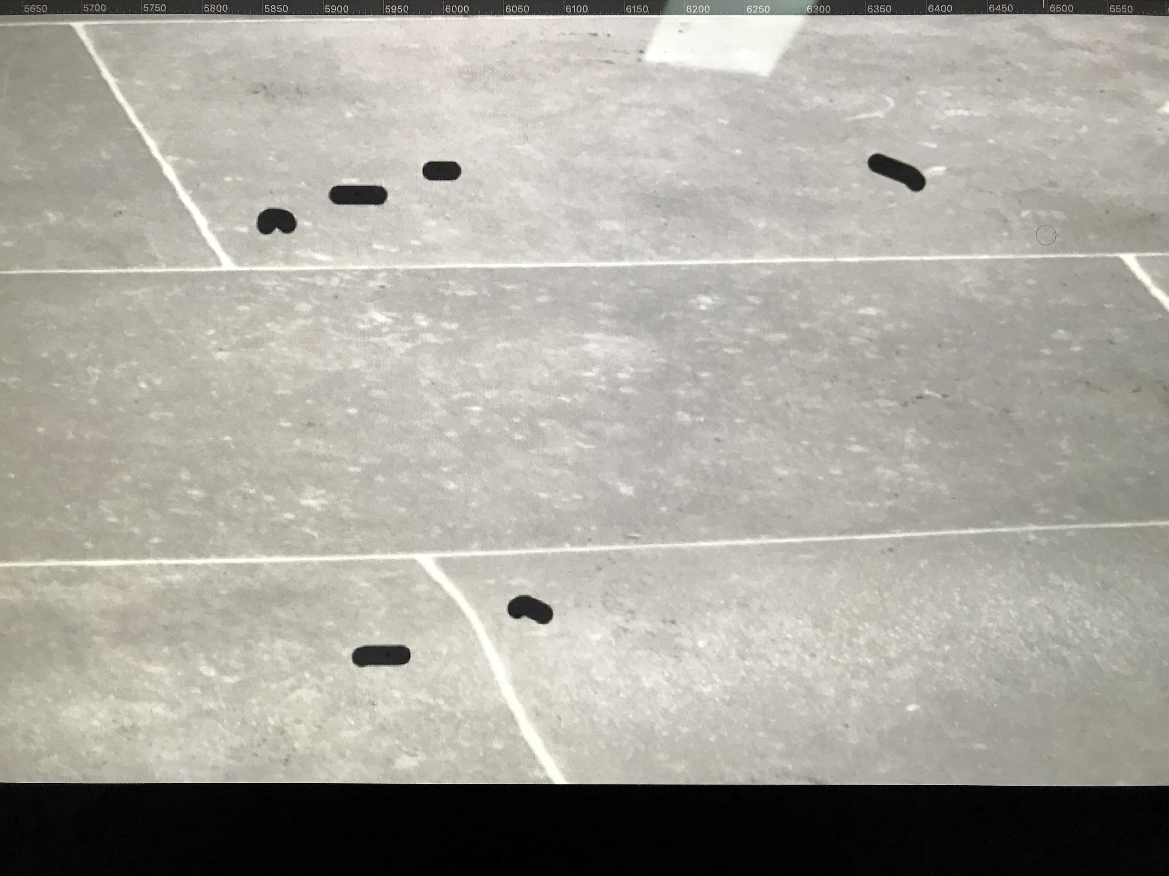 solved spot healing brush issue since