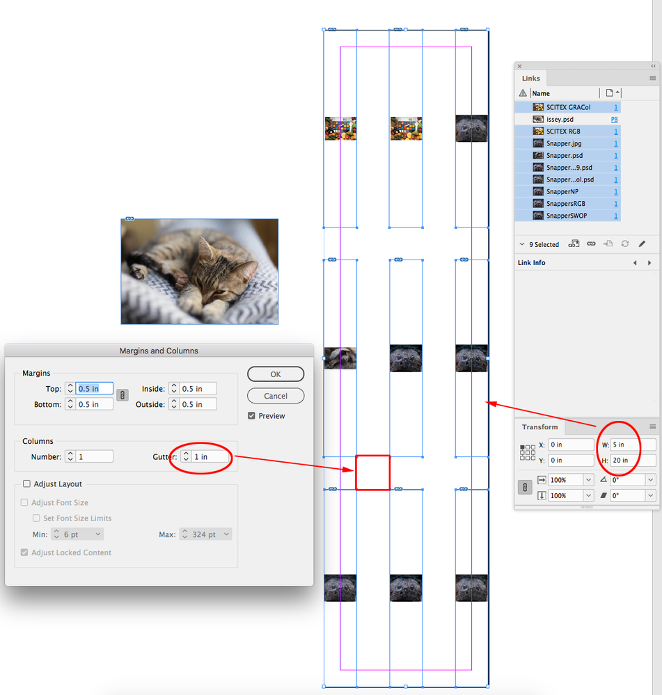 Screen Shot 3.png
