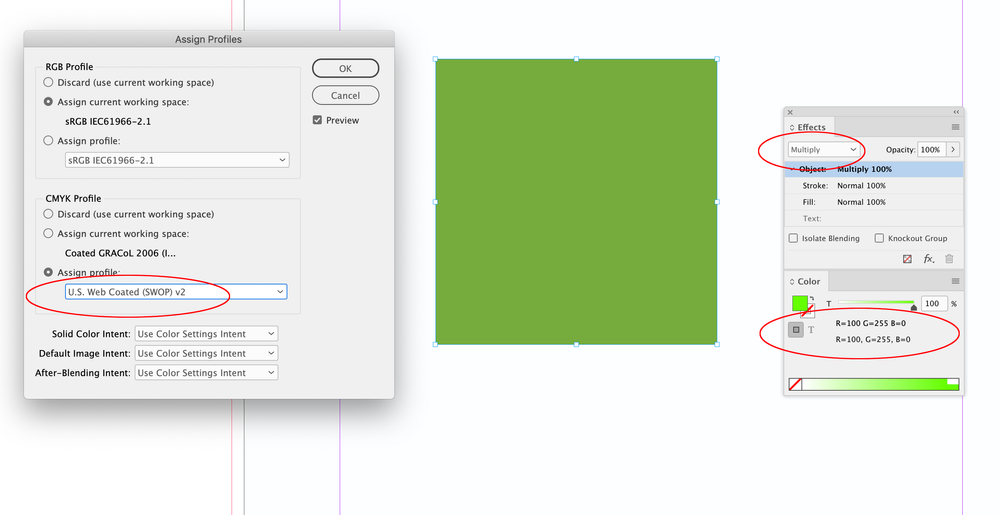 Screen Shot 5.png