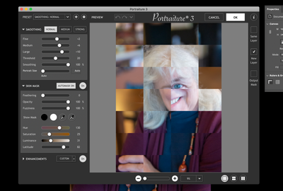 solved portraiture 3 plug in not