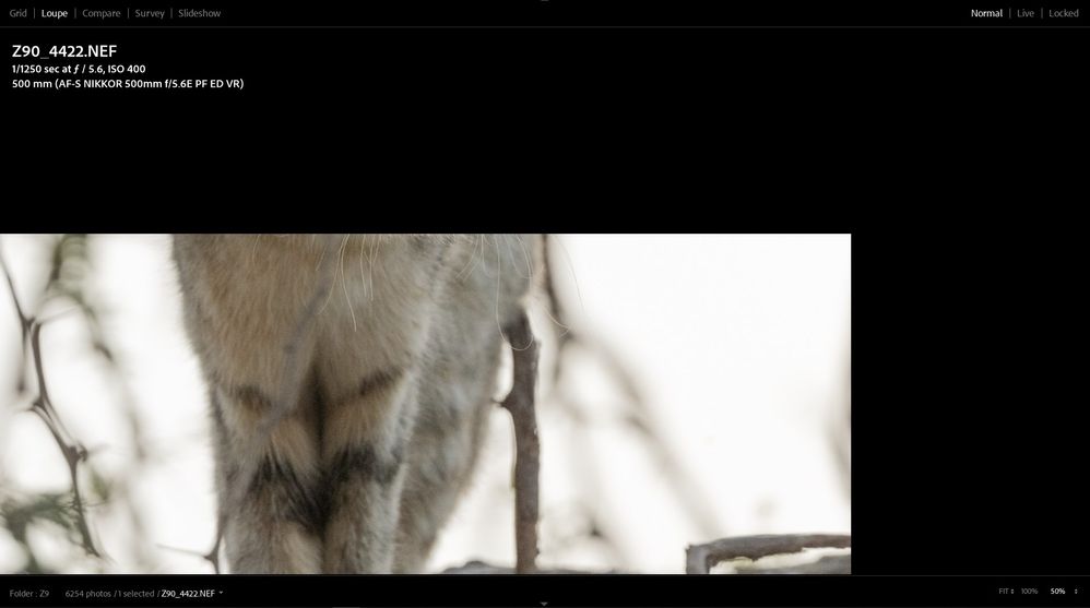 Screenshot_1.jpg