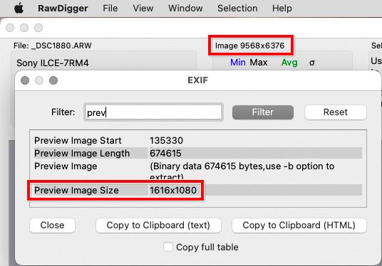RawDigger-Sony-A7R-EXIF-preview-size.jpg