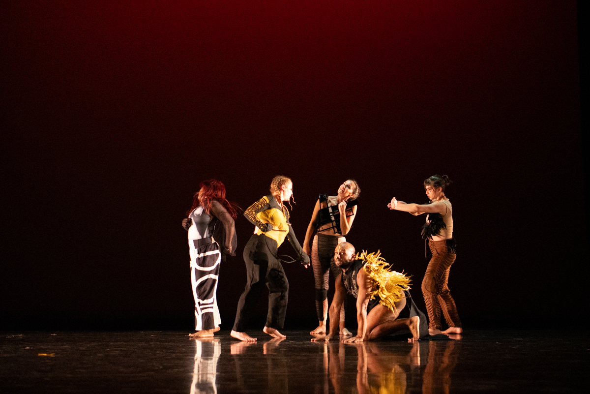 Denoise creates a weird light band on right edge o... Adobe Community