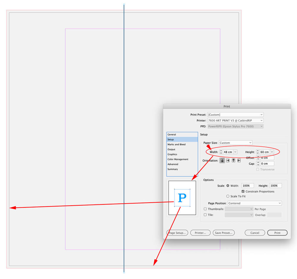 Screen Shot 24.png