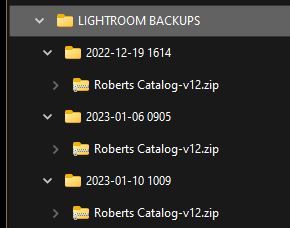 2023-11-02 11_08_28-LIGHTROOM BACKUPS.jpg