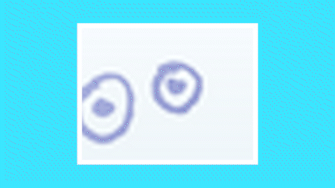 シーケンス 01-1.gif