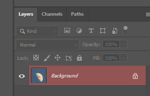 layer.png