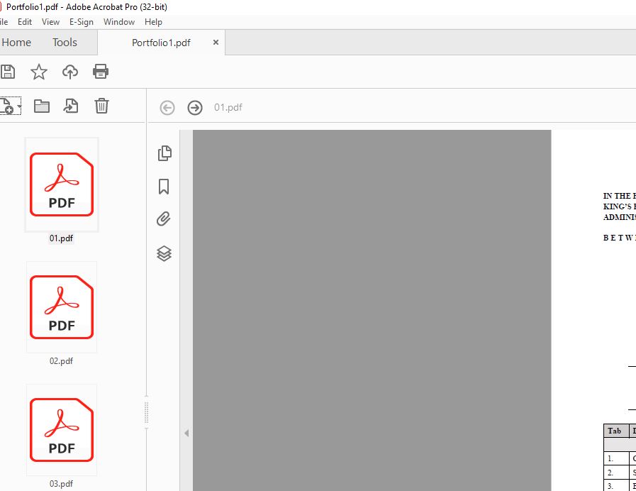 "new acrobat" portfolio issue Adobe Community 14230556