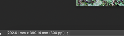 Screenshot 2023-11-14 at 1.05.23 AM.png
