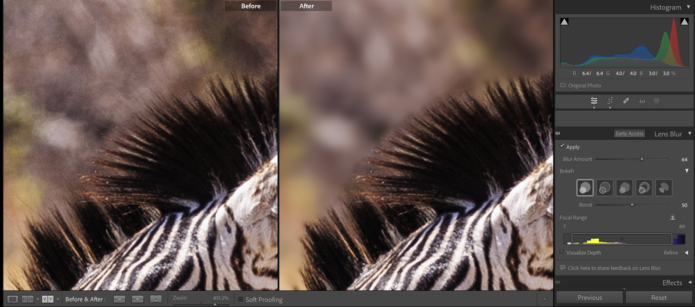 Screenshot 2023-11-15 LRblur.png