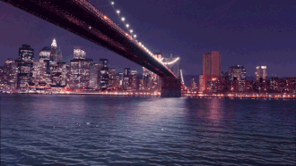 Untitled-4.gif