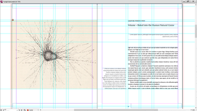 Screenshot (8711).png