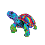 Rainbow Tortoise