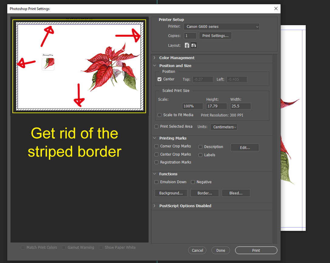 Borderless printing Canon G600 Adobe Community 14253861