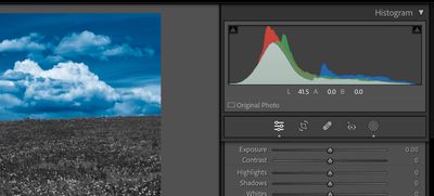 Screen Shot 2023-11-30 at 2.58.12 PM.jpg