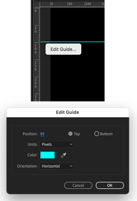 premiere pro guides.png premiere pro guides.png