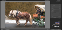 2023-12-05 05_43_08-Lightroom Catalog-v13 - Adobe Photoshop Lightroom Classic - Print.png