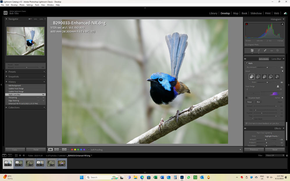 Screenshot 2023-12-06 145722.png