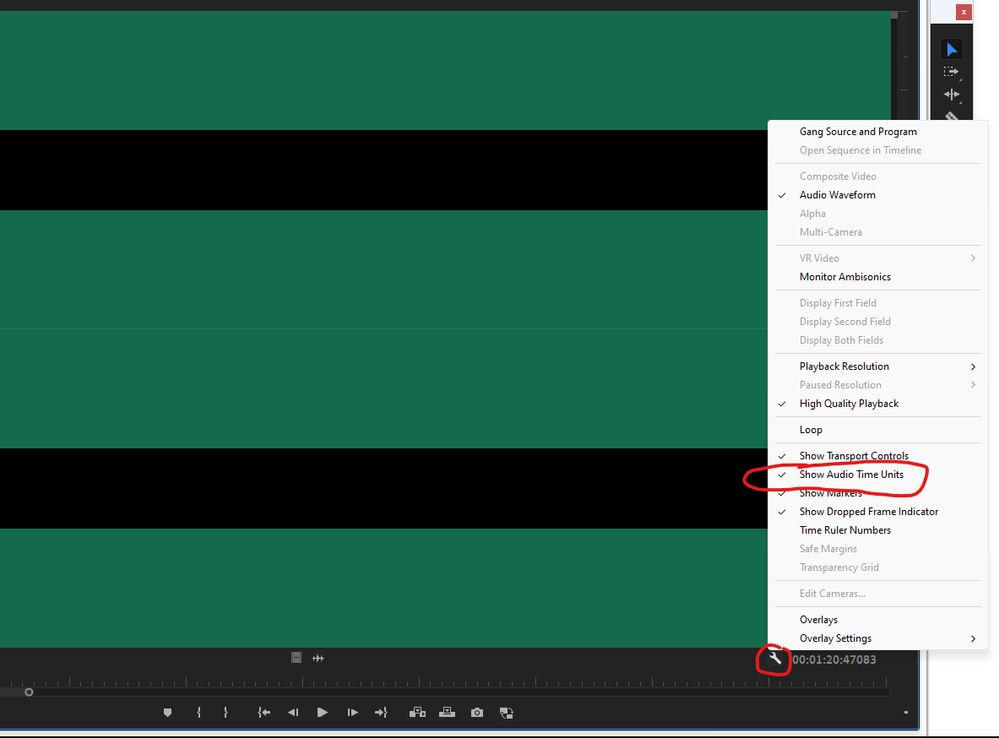 Source monitor audio time units.png