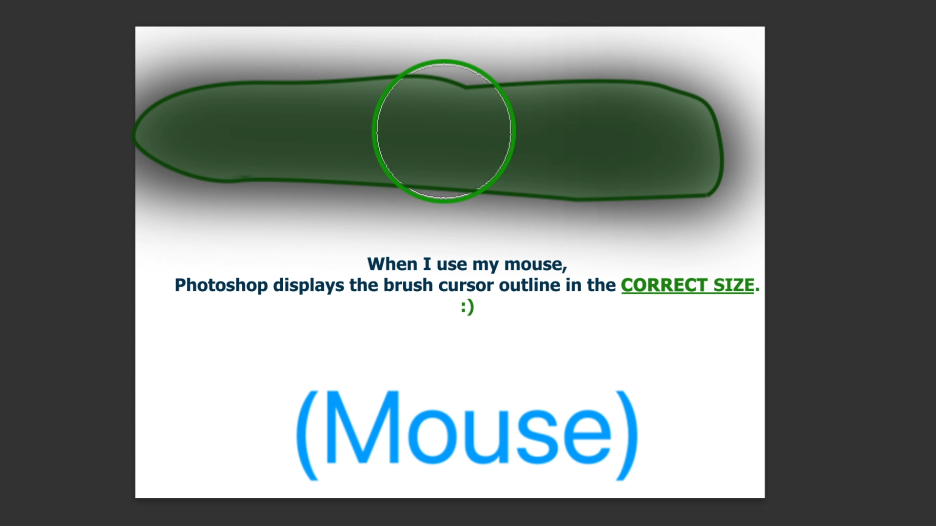 Solved Intuos M Brush Outline Not Showi... Adobe