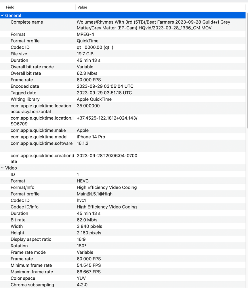 Premiere GM project MediaInfo 2024-01-02 pt1.png