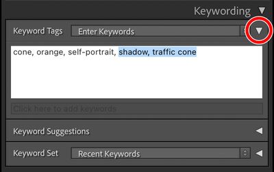 Lightroom-Classic-Keywording-Keyword-Tags-panel.jpg