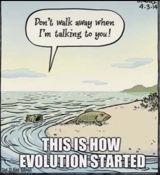 Fish.jpg