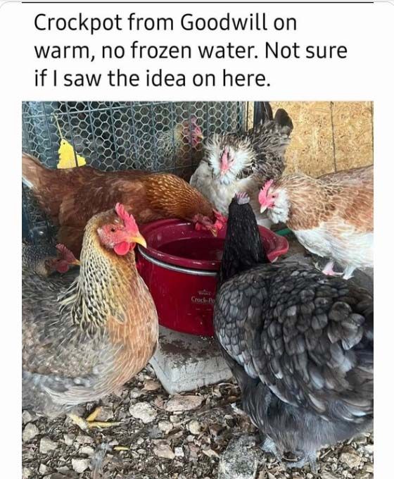 CrockPot.jpg