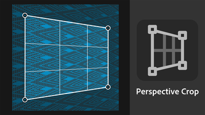 PerspectiveCropTool.png