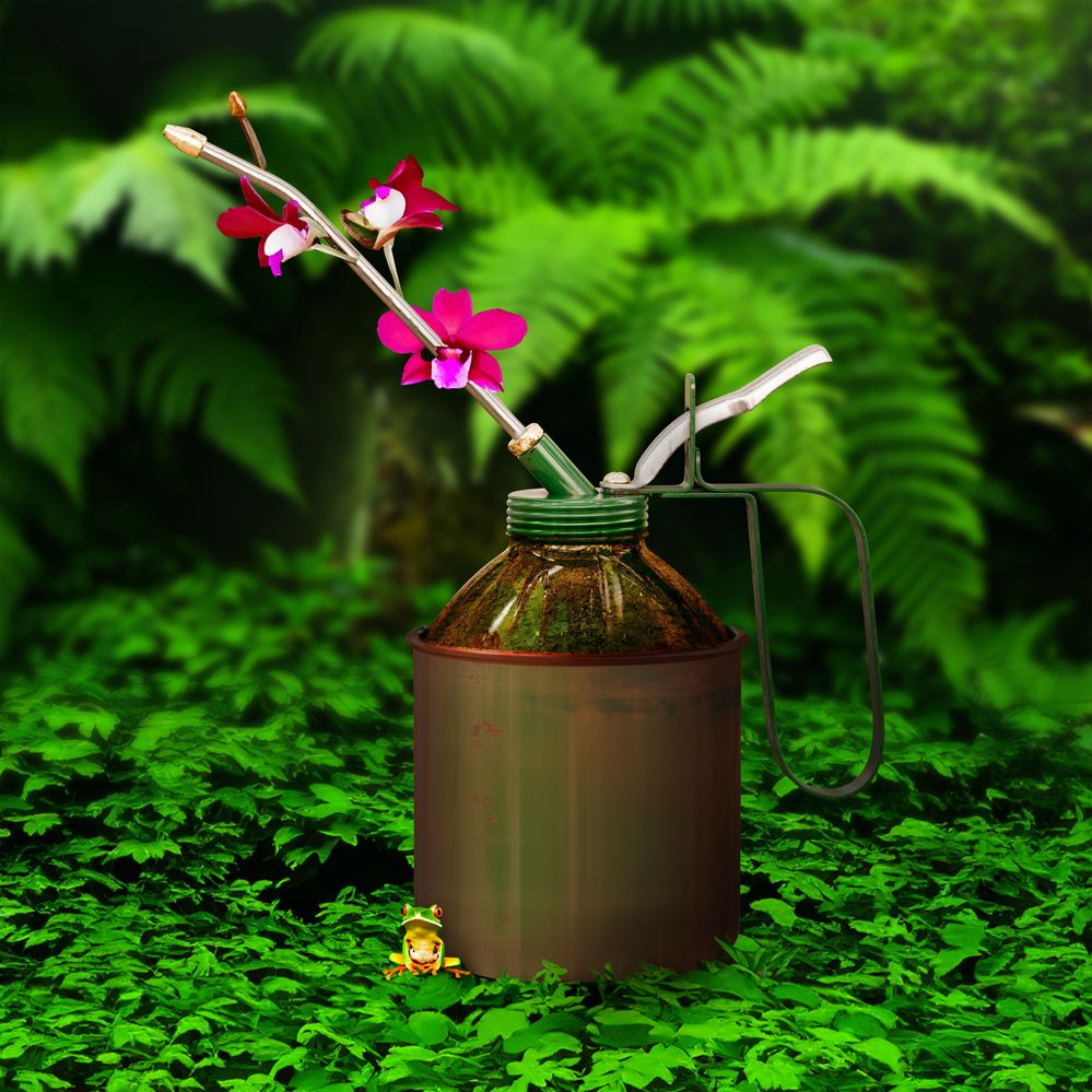 Grow where ever you can