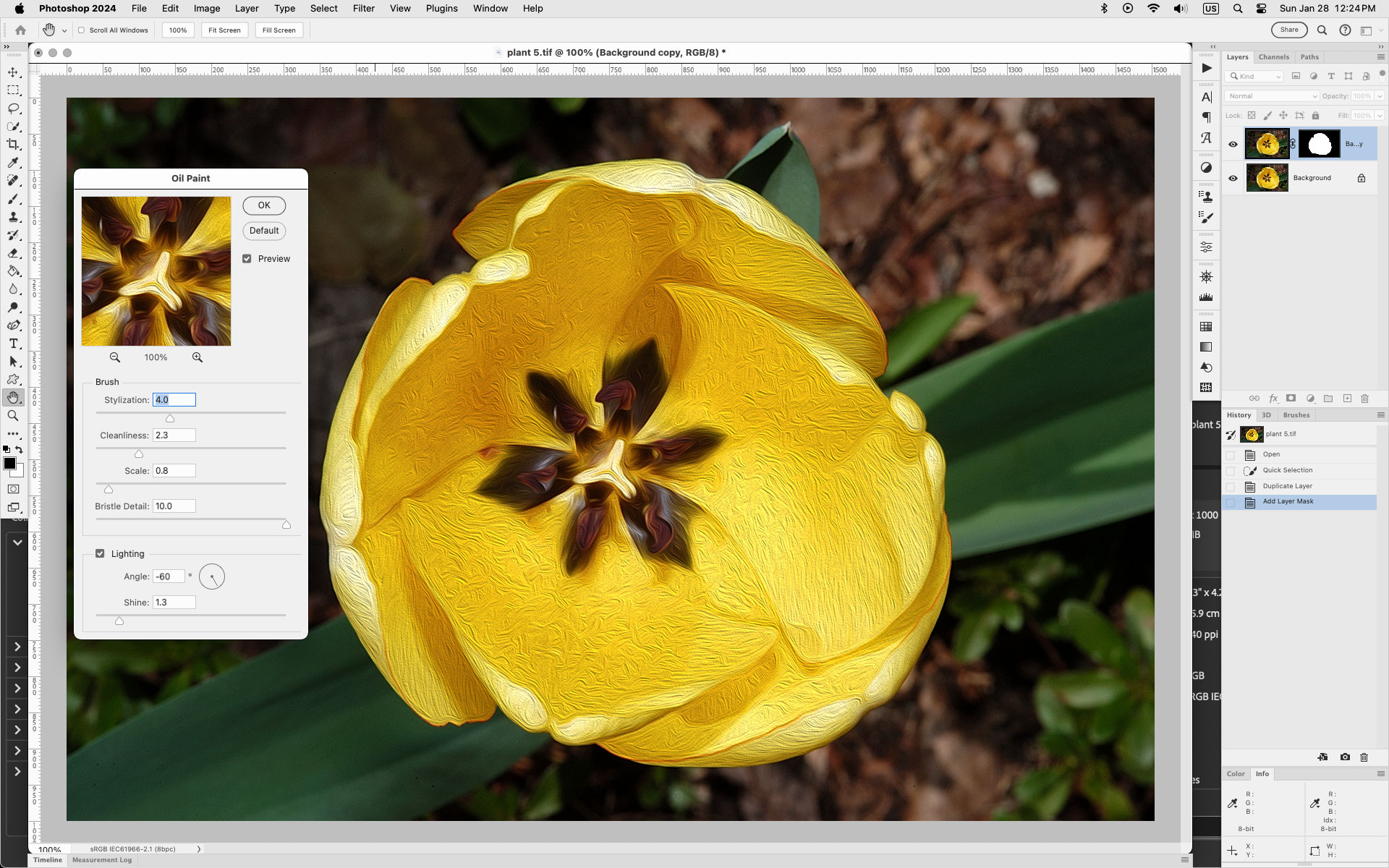 Solved: Oil paint option removed when I add a mask to a la... - Adobe ...