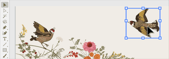 2.gif