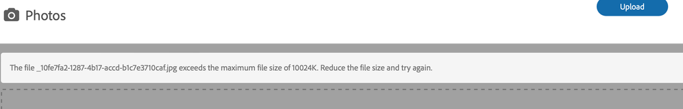 Screenshot 2024-02-03 at 7.30.14 PM.png