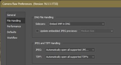 2024-02-18 11_02_47-Camera Raw Preferences  (Version 16.1.1.1733).jpg