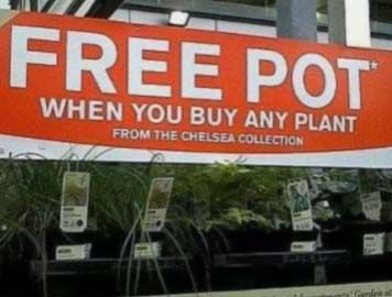 FreePot.jpg