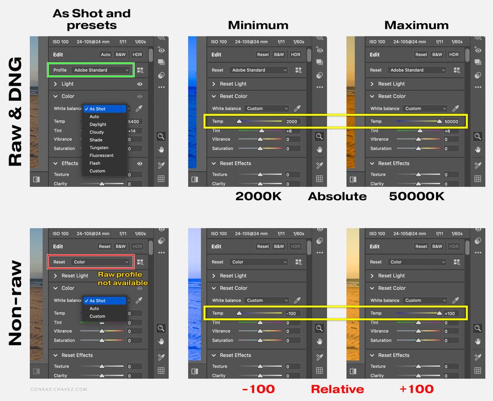 Camera-Raw-leosantare-DNG-vs-TIFF-white-balance.jpg