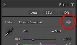 Lightroom-Classic-profile-browser-icon.jpg