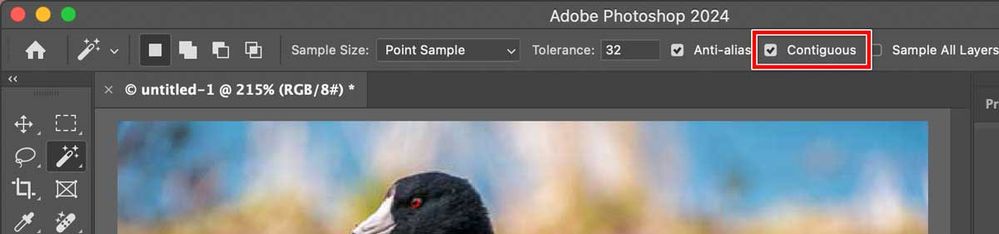 Photoshop-Magic-Wand-Contiguous.jpg