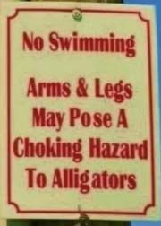 Gator.jpg