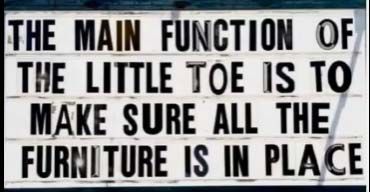 LittleToe.jpg