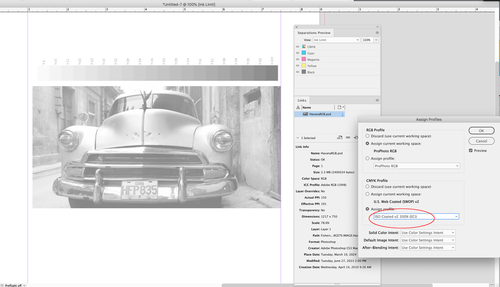Screen Shot 10.png