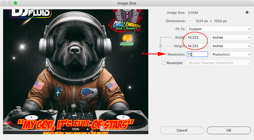 Screen Shot 15.png