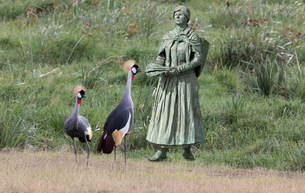 The Fish Wife in Amboseli National Park