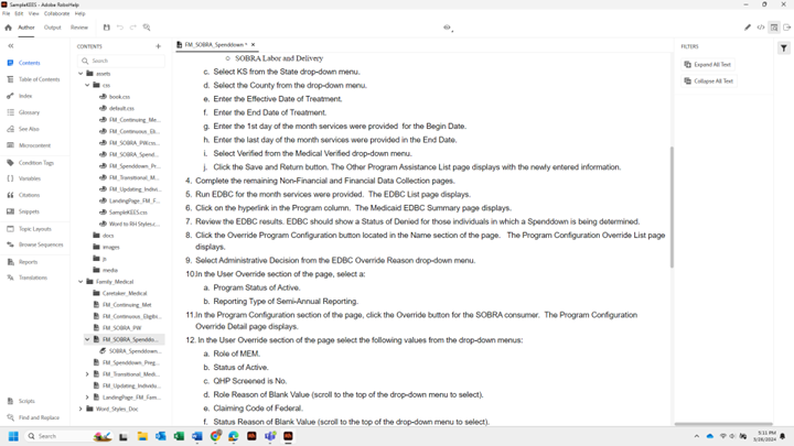 Robohelp Preview.png