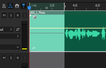 Instead of playing this highlighted section, Audition will play around it.