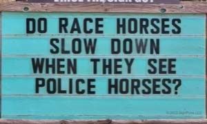 RaceHorse.jpg