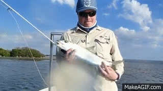 Slippery Fish 2.gif