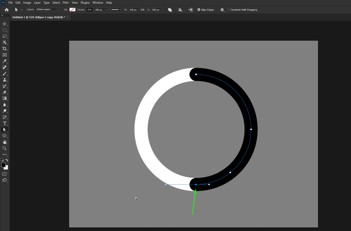 Solved: Can I create this infographic circle in Photoshop? - Adobe ...