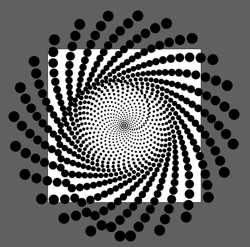 Solved: Phyllotaxis spiral challenge 2018 - Adobe Community - 10063643