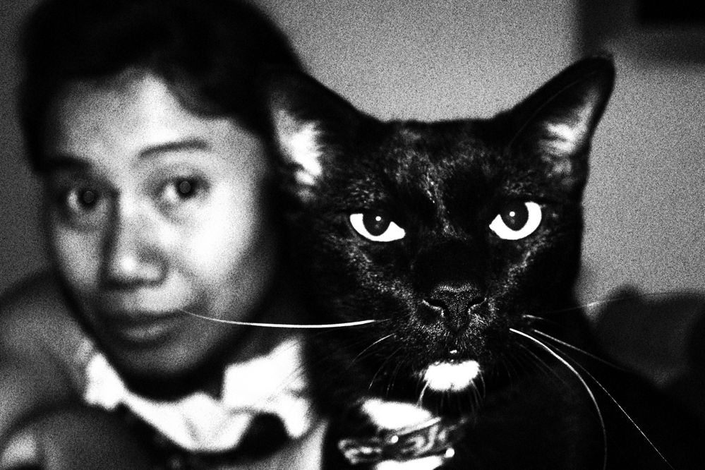 Intimidating cat in front of Asian woman.JPG